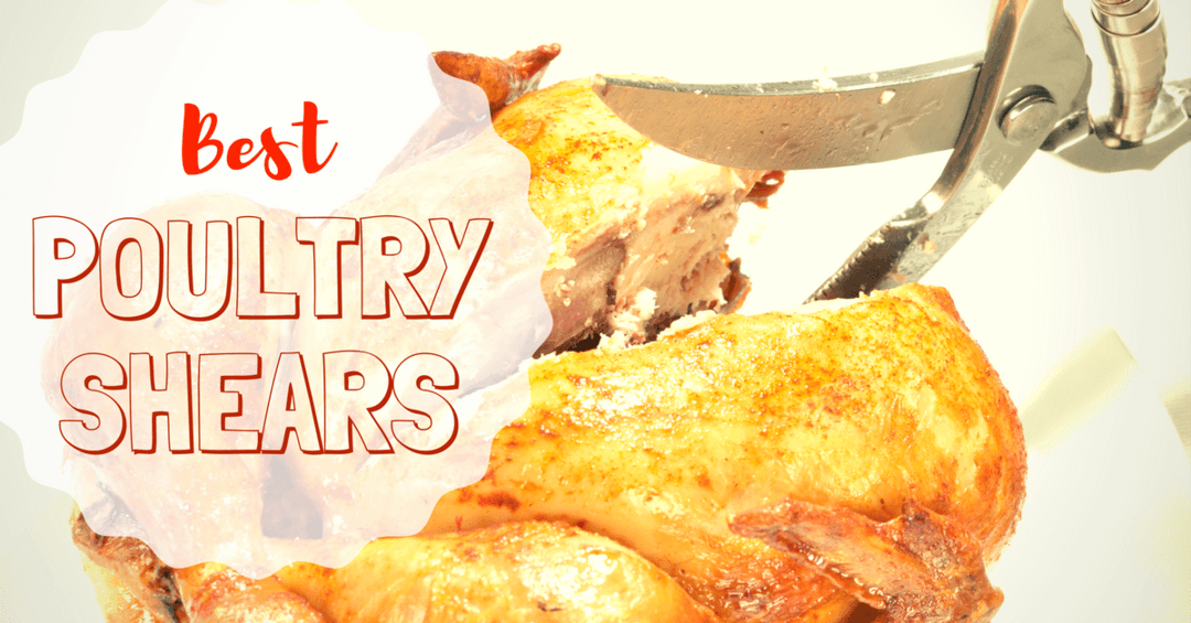 Finding the Best Poultry Shears
