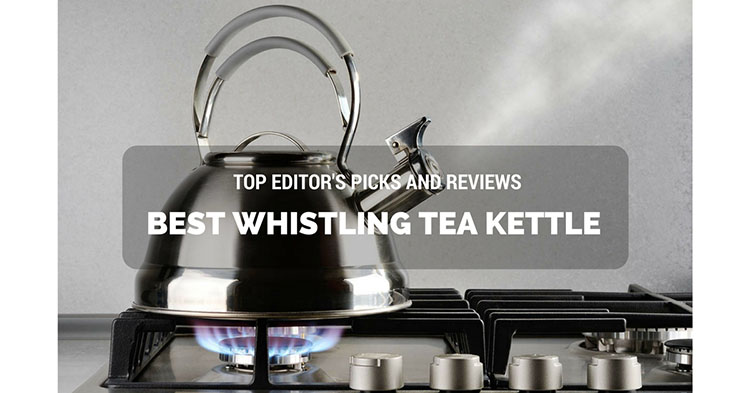 Best Whistling Tea Kettle