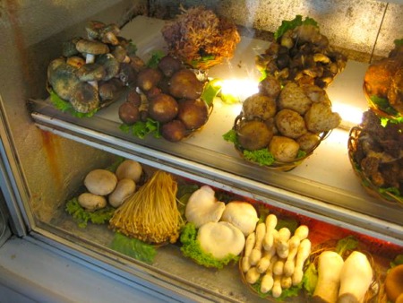 Mushroom in the fridge