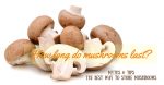 MUSHROOMS: How Long Do They Last? How long do mushroom last?