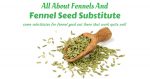 Fennel It Is: All About Fennels And Fennel Seed Substitute