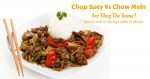 CHOP SUEY VS CHOW MEIN: ARE THEY THE SAME?