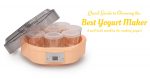Quick Guide to Choosing the Best Yogurt Maker 2020