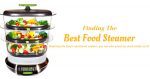 Finding the Best Food Steamer 2020 for the Money