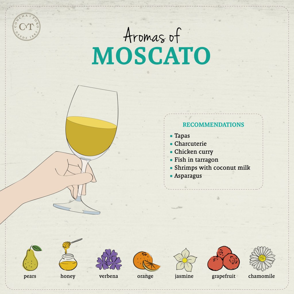 Moscato or Muscat via Vina Concha Y Toro