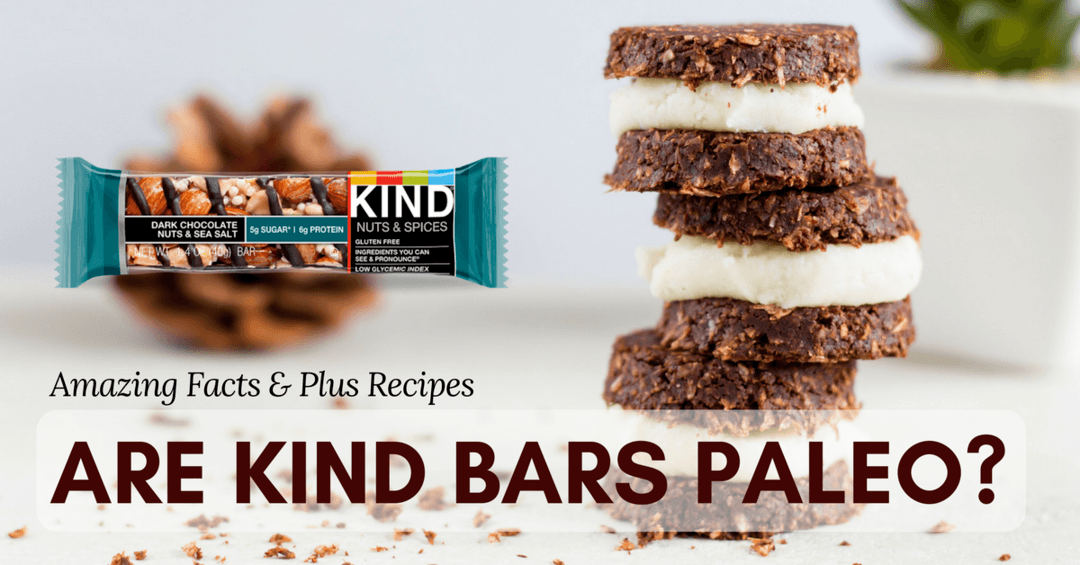 Are Kind Bars Paleo