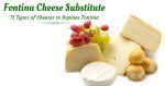 Fontina Cheese Substitute – 12 Types of Cheeses to Replace Fontina