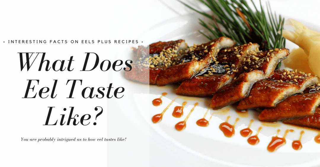 What Does Eel Taste Like – Interesting Facts on Eels Plus Recipes