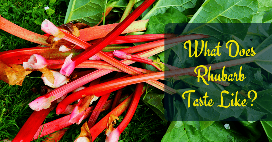 What Does Rhubarb Taste Like