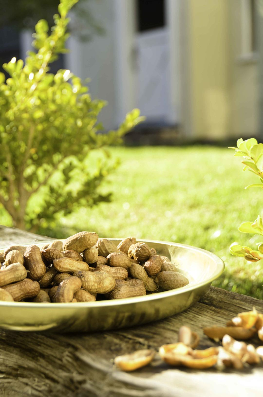 Boiled Peanuts