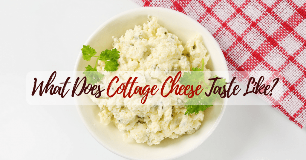 What Does Cottage Cheese Taste Like Essential Facts You Should Know