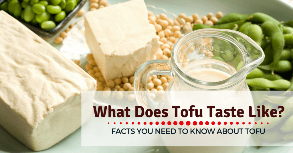 What Does Tofu Taste Like Facts You Need To Know About Tofu