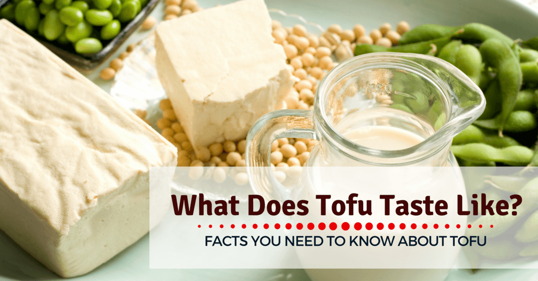 What does tofu taste like: Facts You Need To Know About Tofu