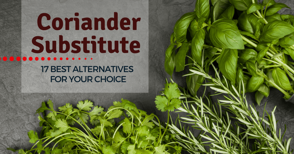 Coriander Substitute 17 Best Alternatives For Your Choice