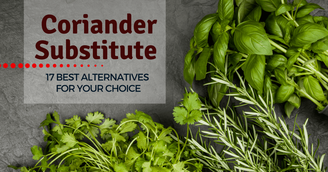 Coriander Substitute- 17 Best Alternatives For Your Choice