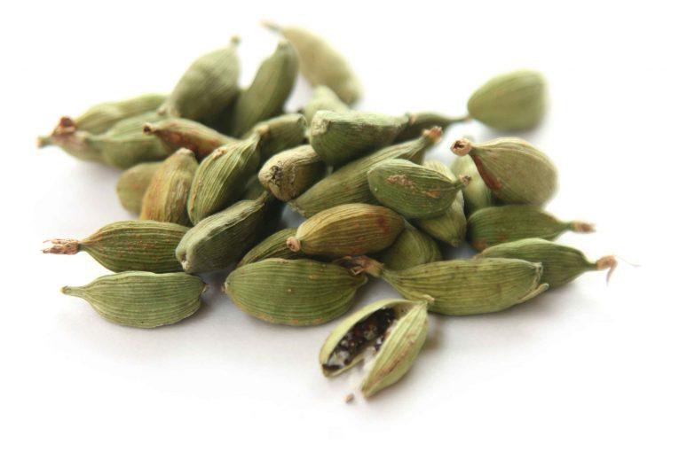 Coriander Substitute 17 Best Alternatives For Your Choice