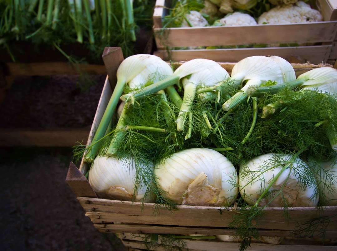 Coriander Substitute 17 Best Alternatives For Your Choice