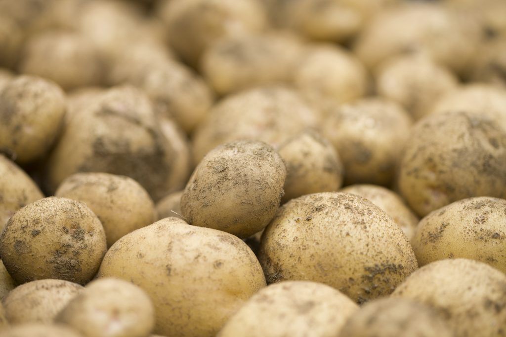 How Long Are Potato Good For? Discover New Ways To Store Potato Here